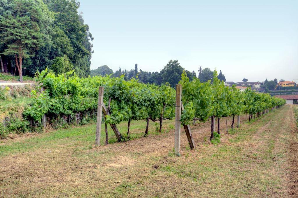 Quinta Da Tapada Villa Лоузада Екстериор снимка